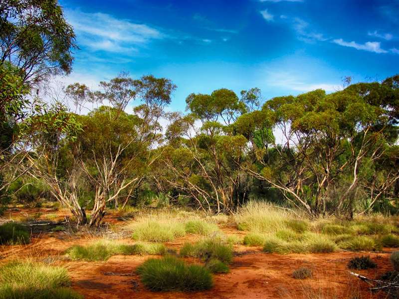 Australia Family Package from Visakhapatnam