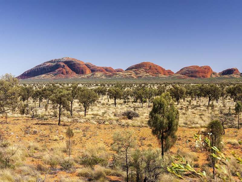 Australia Family Package from Chandigarh