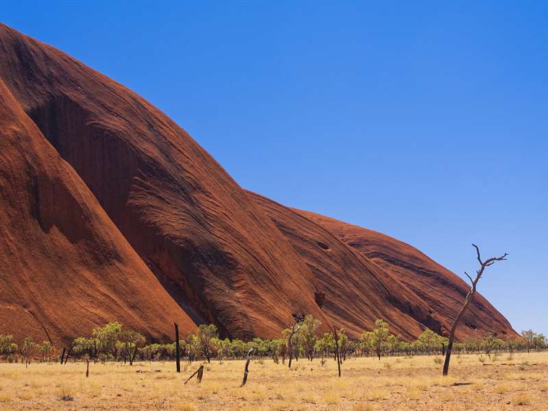 Australia Family Package from Cochin