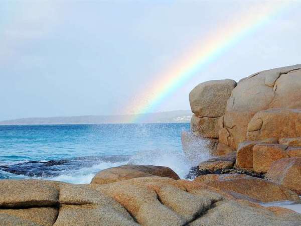 Australia Family Package from South Africa