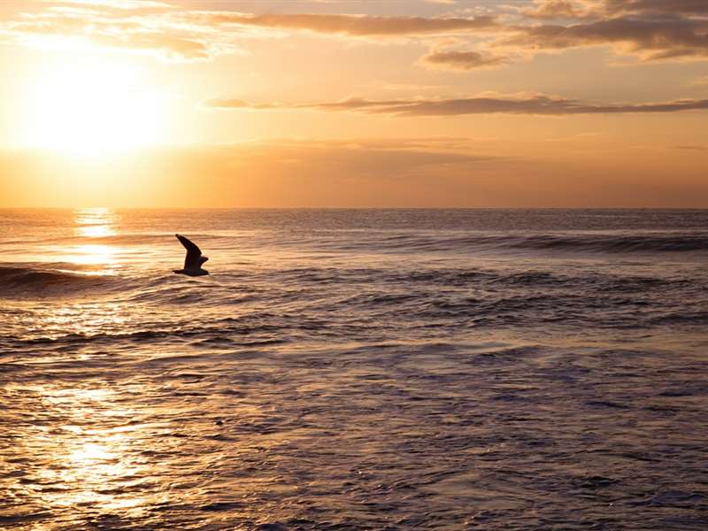 Australia Tour Package from Vizag