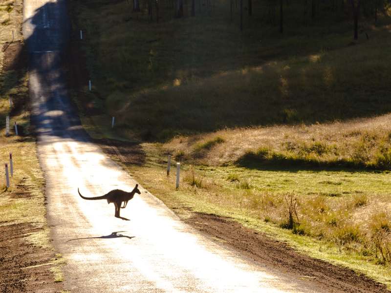 Australia Tour Package from Chandigarh